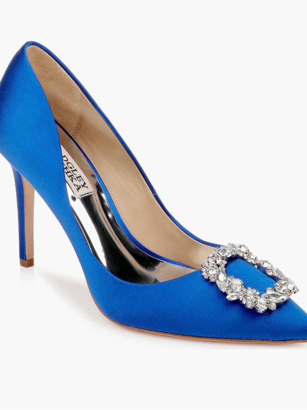 Badgley Mischka Cher Pumps (7)